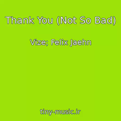 کاور آهنگ Thank You (Not So Bad) از Vize; Felix Jaehn