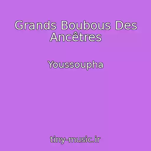 کاور آهنگ Grands Boubous Des Ancêtres از Youssoupha