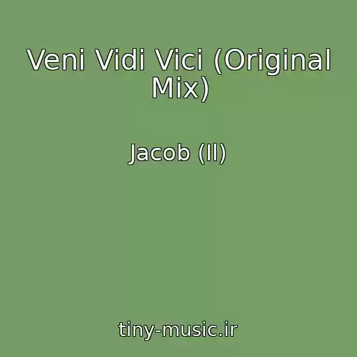 کاور آهنگ Veni Vidi Vici (Original Mix) از Jacob (Il)