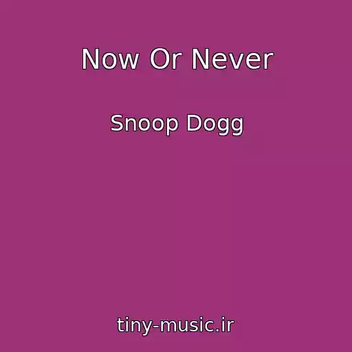 کاور آهنگ Now Or Never از Snoop Dogg