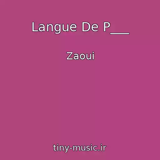 کاور آهنگ Langue De P___ از Zaoui