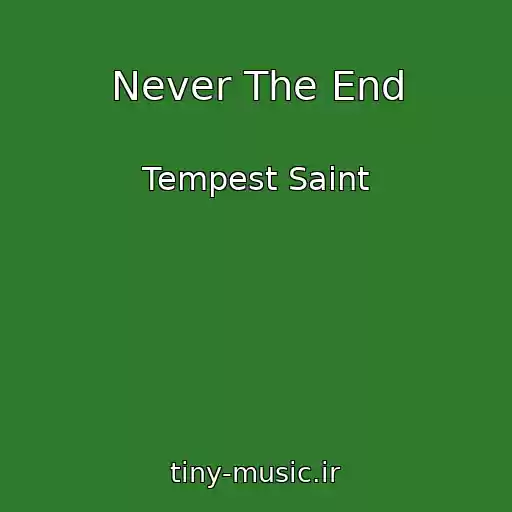 کاور آهنگ Never The End از Tempest Saint