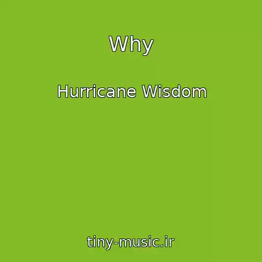 کاور آهنگ Why از Hurricane Wisdom