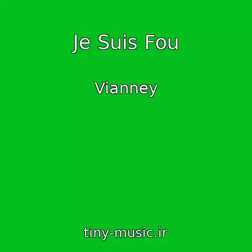 کاور آهنگ Je Suis Fou از Vianney
