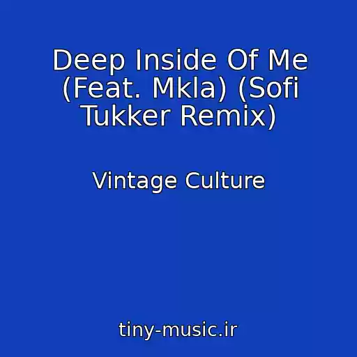 کاور آهنگ Deep Inside Of Me (Feat. Mkla) (Sofi Tukker Remix) از Vintage Culture