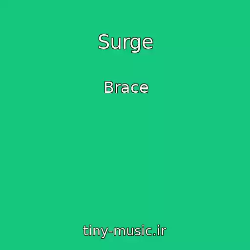کاور آهنگ Surge از Brace
