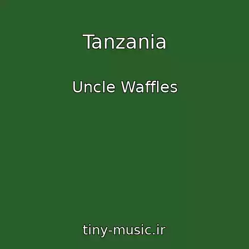 کاور آهنگ Tanzania از Uncle Waffles