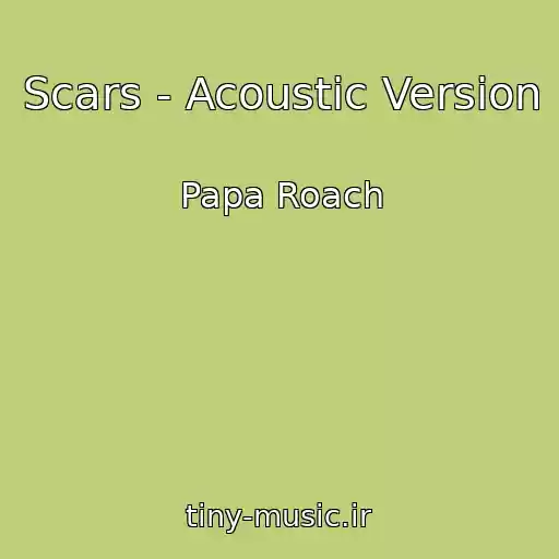 کاور آهنگ Scars - Acoustic Version از Papa Roach