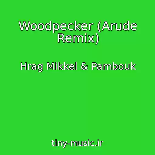 کاور آهنگ Woodpecker (Arude Remix) از Hrag Mikkel & Pambouk