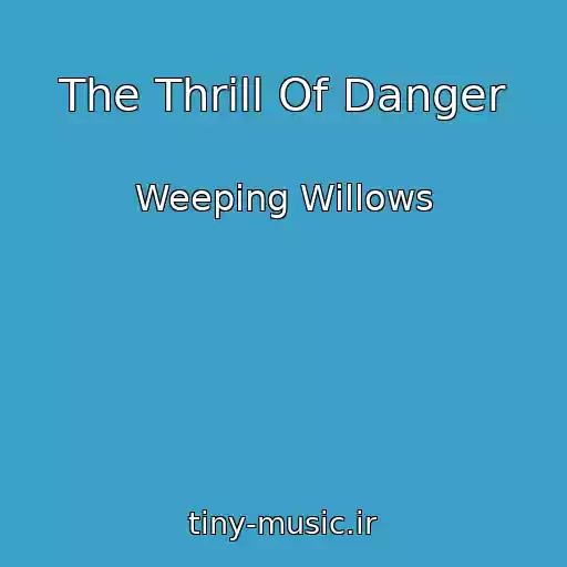 کاور آهنگ The Thrill Of Danger از Weeping Willows