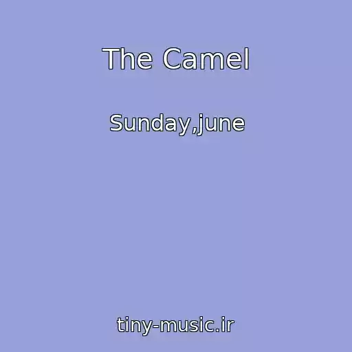 کاور آهنگ The Camel از Sunday,june