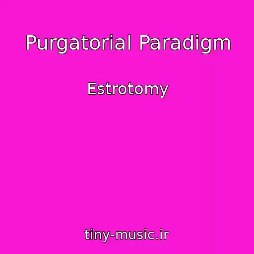 کاور آهنگ Purgatorial Paradigm از Estrotomy