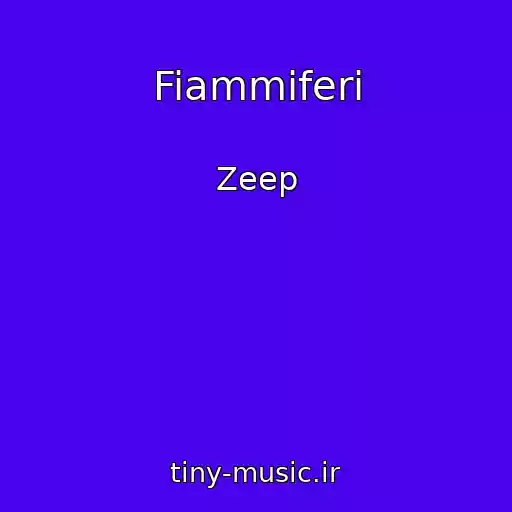 کاور آهنگ Fiammiferi از Zeep