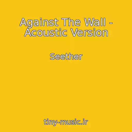کاور آهنگ Against The Wall - Acoustic Version از Seether