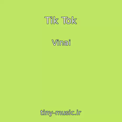 کاور آهنگ Tik Tok از Vinai