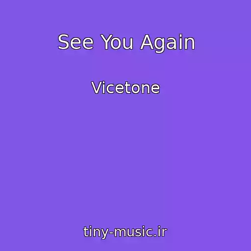 کاور آهنگ See You Again از Vicetone
