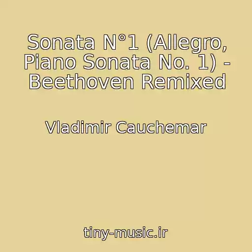 کاور آهنگ Sonata N°1 (Allegro, Piano Sonata No. 1) - Beethoven Remixed از Vladimir Cauchemar
