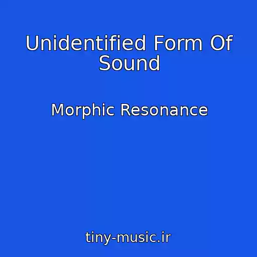 کاور آهنگ Unidentified Form Of Sound از Morphic Resonance