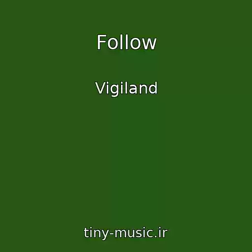 کاور آهنگ Follow از Vigiland