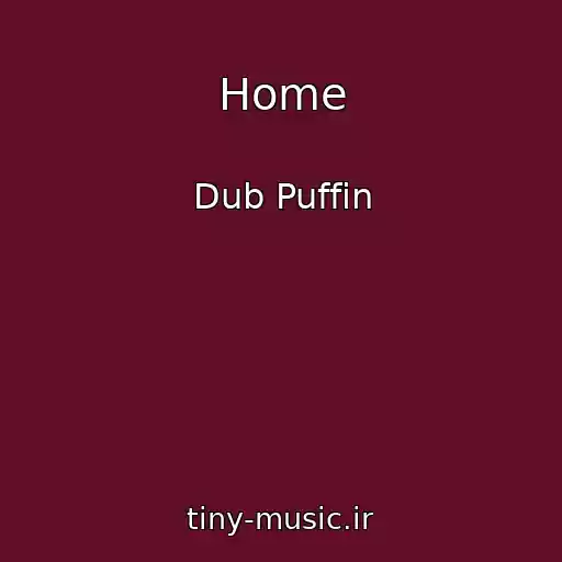 کاور آهنگ Home از Dub Puffin