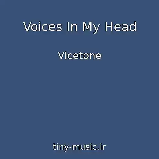 کاور آهنگ Voices In My Head از Vicetone