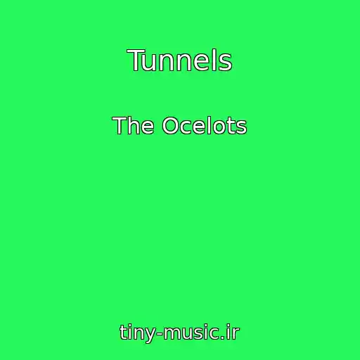 کاور آهنگ Tunnels از The Ocelots