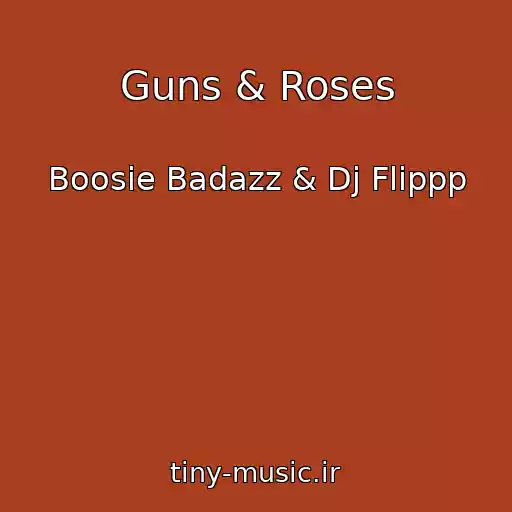 کاور آهنگ Guns & Roses از Boosie Badazz & Dj Flippp
