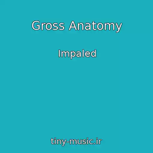 کاور آهنگ Gross Anatomy از Impaled
