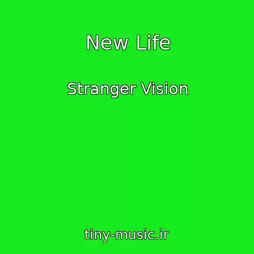 کاور آهنگ New Life از Stranger Vision
