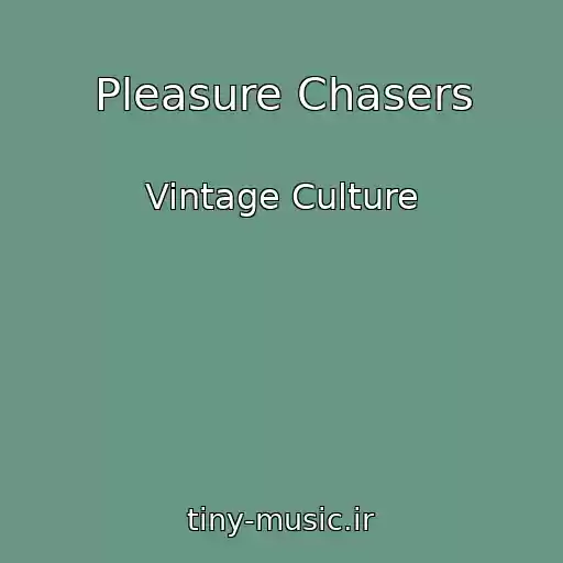 کاور آهنگ Pleasure Chasers از Vintage Culture