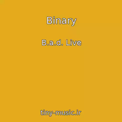 کاور آهنگ Binary از B.a.d. Live
