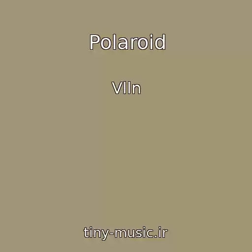 کاور آهنگ Polaroid از Vlln