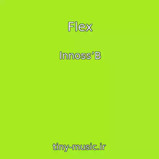 کاور آهنگ Flex از Innoss’B