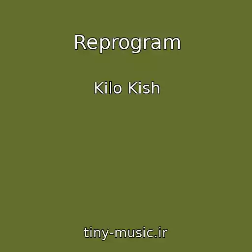 کاور آهنگ Reprogram از Kilo Kish
