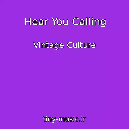 کاور آهنگ Hear You Calling از Vintage Culture