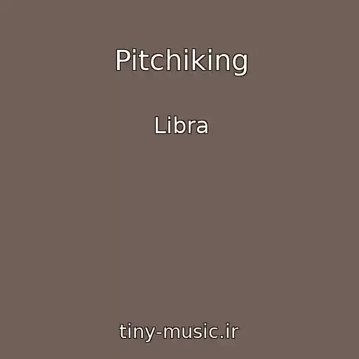 کاور آهنگ Pitchiking از Libra