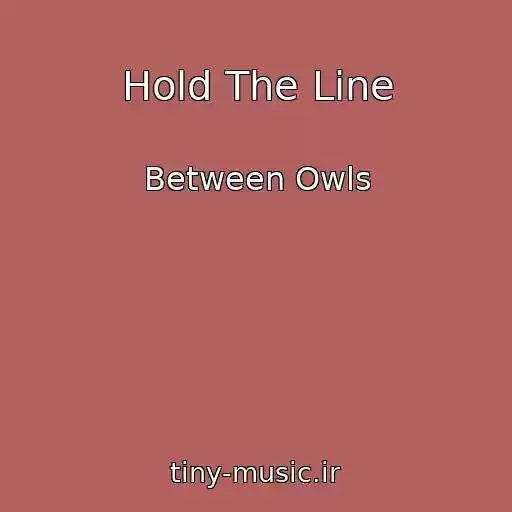 کاور آهنگ Hold The Line از Between Owls