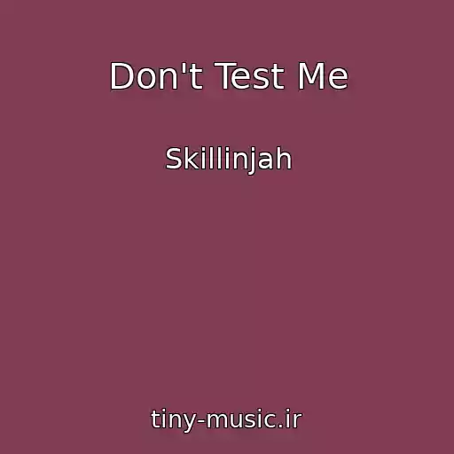 کاور آهنگ Don't Test Me از Skillinjah