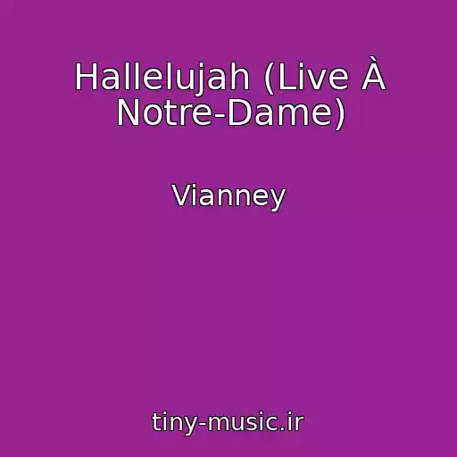 کاور آهنگ Hallelujah (Live À Notre-Dame) از Vianney