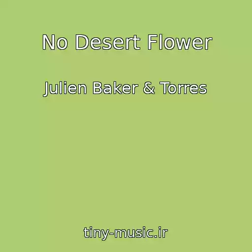 کاور آهنگ No Desert Flower از Julien Baker & Torres