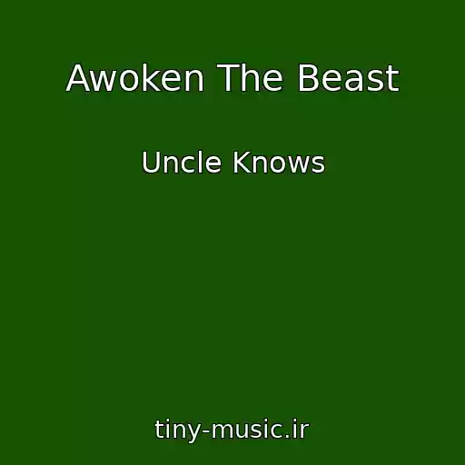 کاور آهنگ Awoken The Beast از Uncle Knows