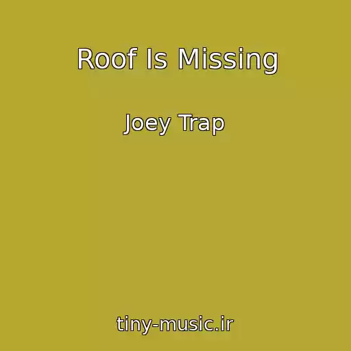 کاور آهنگ Roof Is Missing از Joey Trap