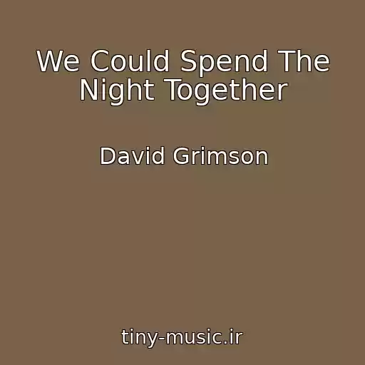 کاور آهنگ We Could Spend The Night Together از David Grimson