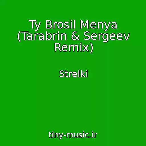 کاور آهنگ Ty Brosil Menya (Tarabrin & Sergeev Remix) از Strelki