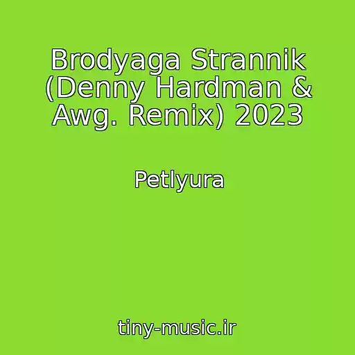 کاور آهنگ Brodyaga Strannik (Denny Hardman & Awg. Remix) 2023 از Petlyura