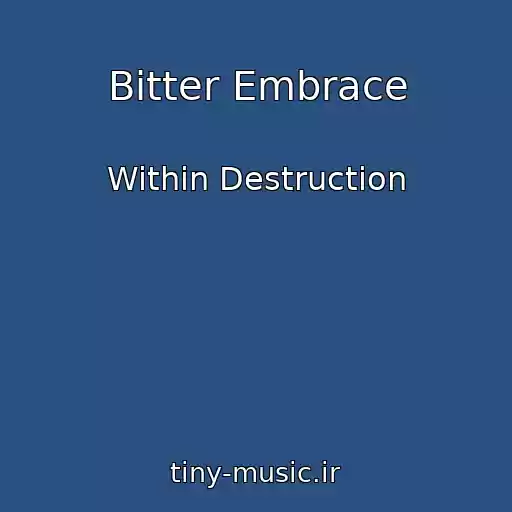 کاور آهنگ Bitter Embrace از Within Destruction