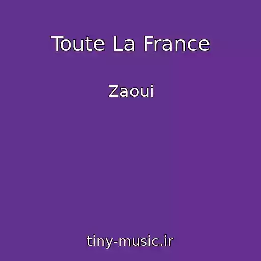کاور آهنگ Toute La France از Zaoui