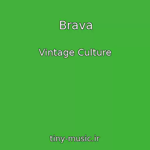 کاور آهنگ Brava از Vintage Culture