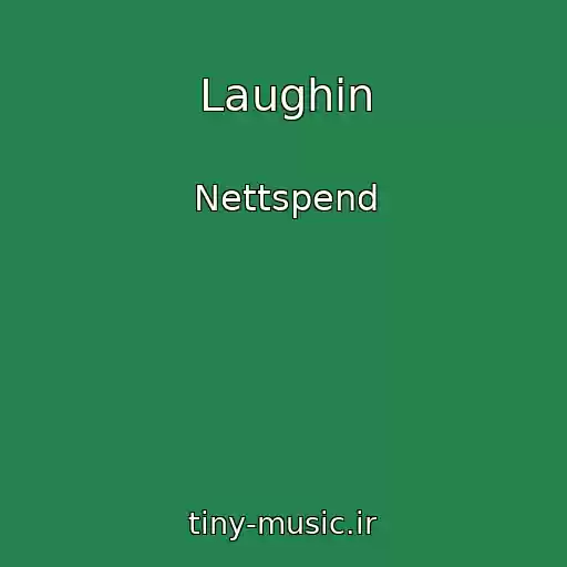 کاور آهنگ Laughin از Nettspend