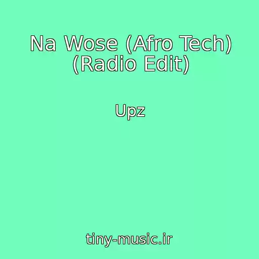 کاور آهنگ Na Wose (Afro Tech) (Radio Edit) از Upz